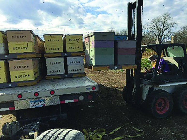 Build A Migratory Pallet | Bee Culture