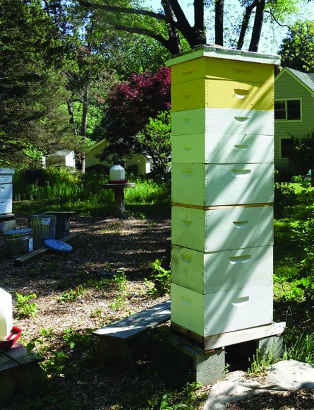 The Horizontal Two-Queen System | Bee Culture