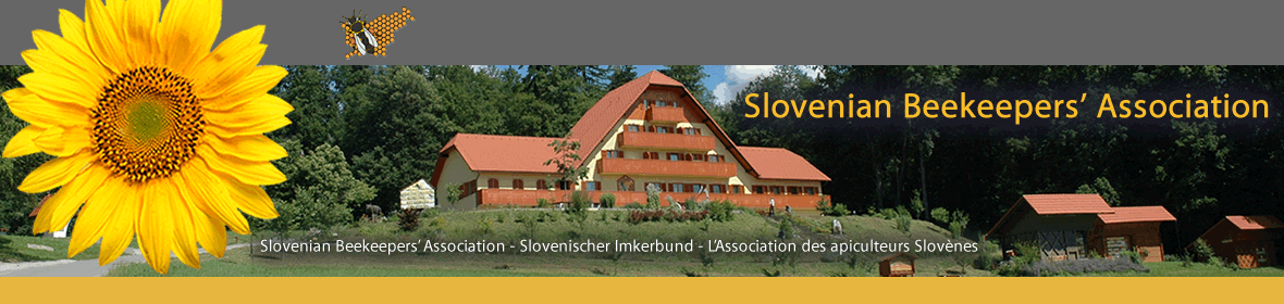 CATCH THE BUZZ – Slovenia To Get State And Tuition Funded Beekeeping Academy.