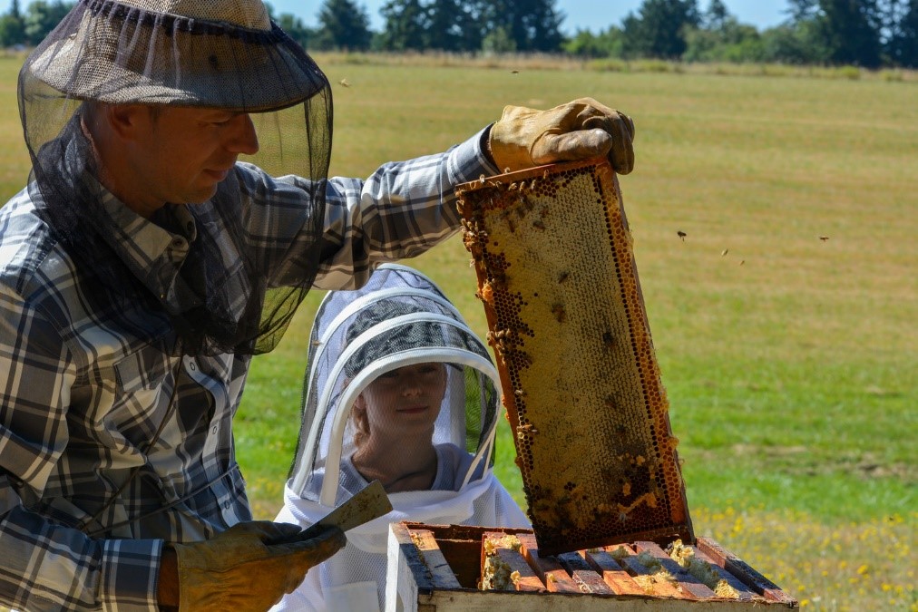 Raw Honey VS Commercial Honey: What You Need to Know — My Dad's