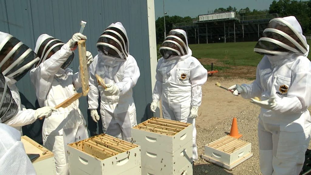 ravenna-high-school-bee-project-buzzing-along-bee-culture