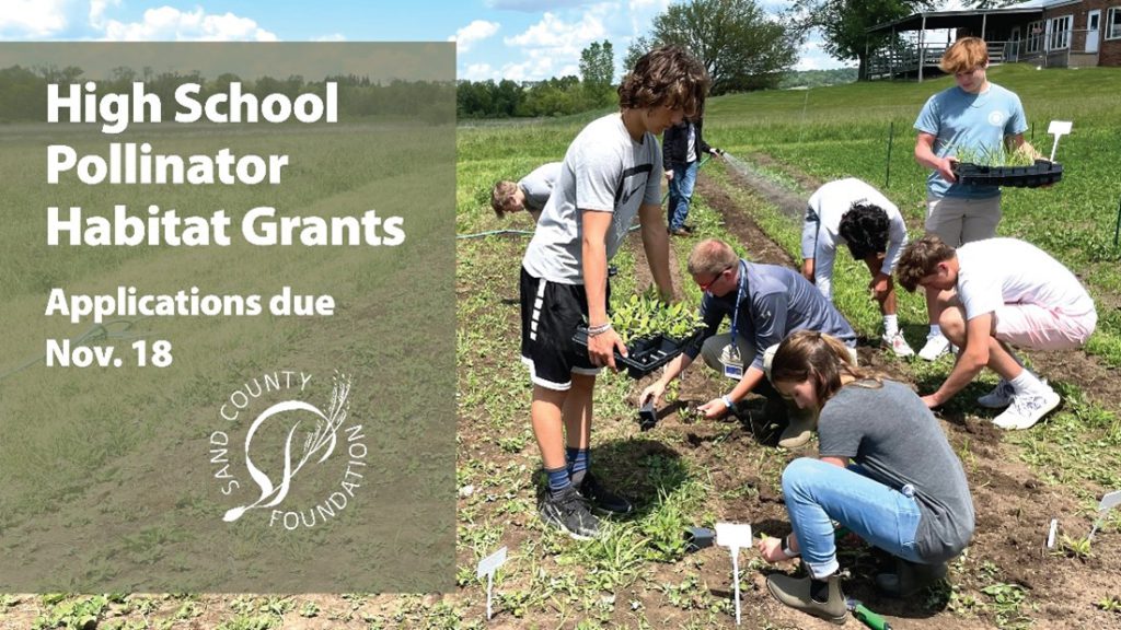 Pollinator Grants Offered to High Schools Bee Culture