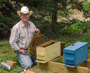 6 ways to join the beekeeping community - PerfectBee