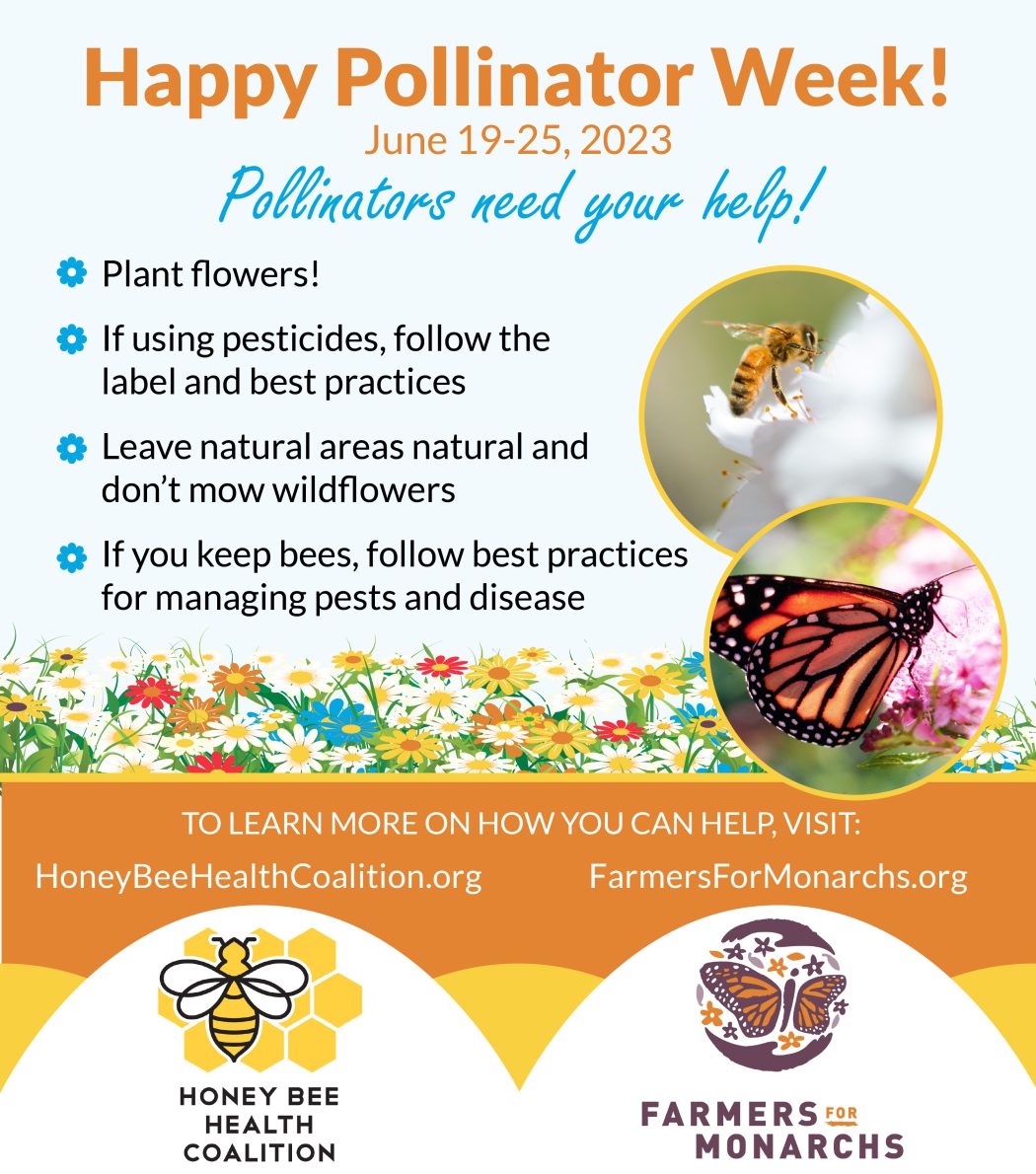 Happy Pollinator Week! Bee Culture