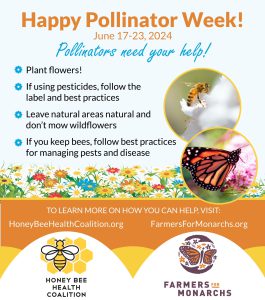 From Bees to Monarchs: Celebrating Pollinator Week and Vision 2040