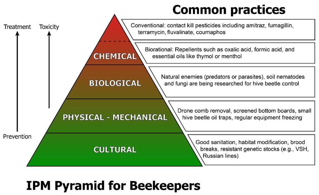 A Beekeeper’s Primer