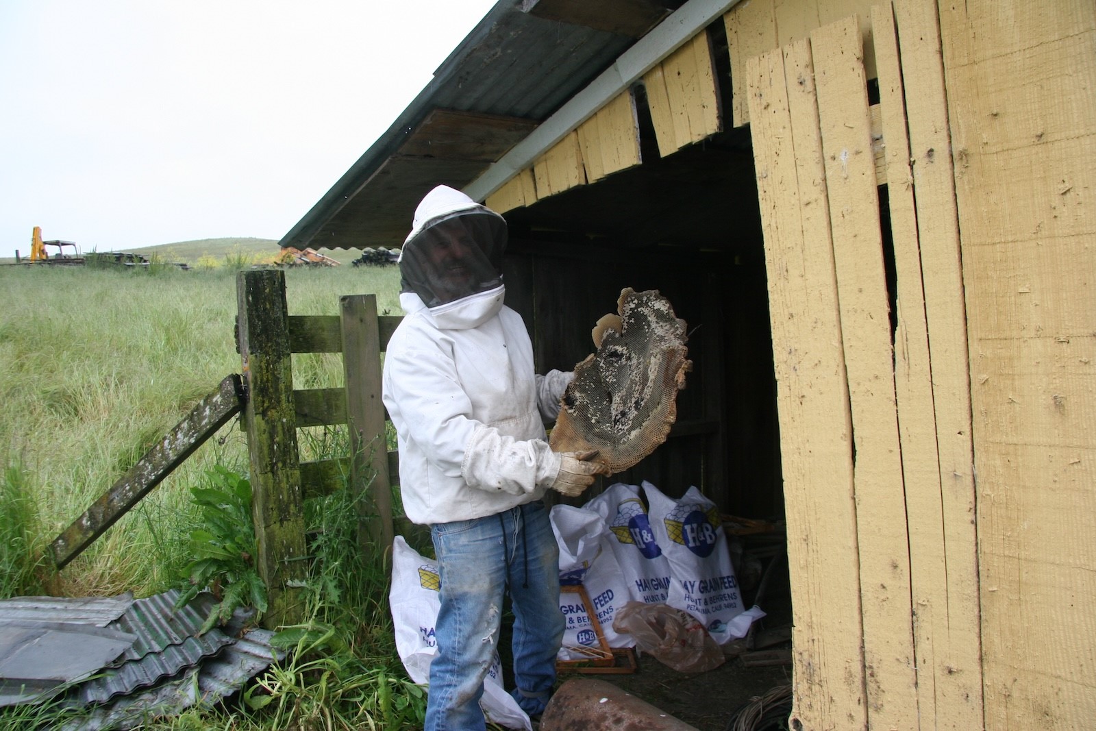 The contractor holding a hunk of old comb. Note the feed sacks in the background. They are stuffed with old comb.