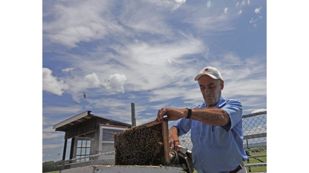 More Support for Nova Scotia Beekeepers