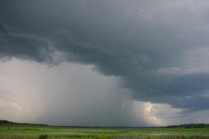 Industrial Beekeeping Is Stormy | Bee Tradition