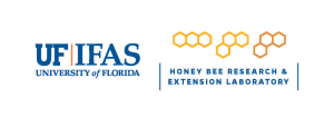 What Does It Take to Run a Honey Bee Laboratory?