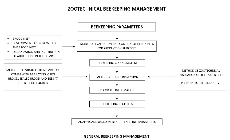 Zootechnical Beekeeping Management