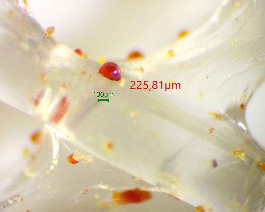 Figure 3. Images of propolis collections screens and propolis drops applied by bees in Ukraine in 2022.