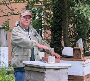 Beekeeping Knowledge – Just right and Unhealthy