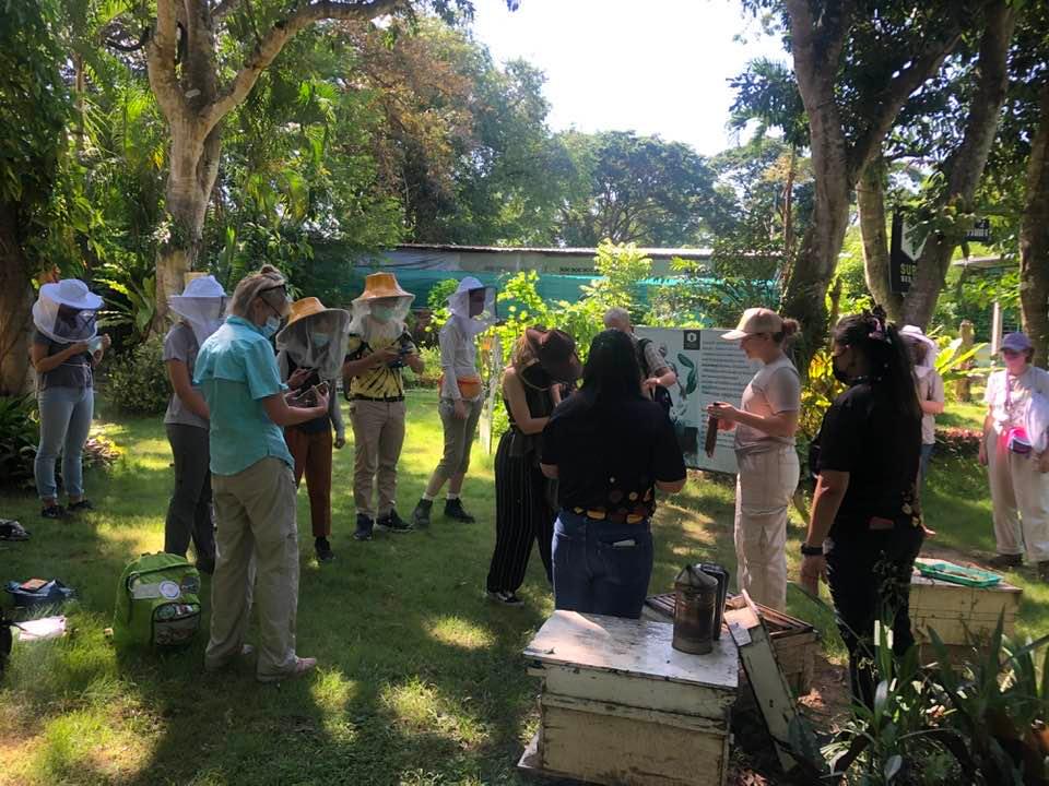 Figure 5. Students in the Beekeeping in Thailand study abroad program visiting Supah Bee Farm in Chiang Mai, Thailand. Photo: Cameron Jack, University of Florida