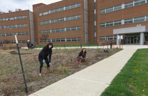 Pollinator Initiatives at NASA-Goddard Space Flight Center (GSFC)