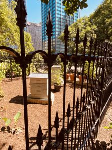 The Bees at the  Ohio Statehouse