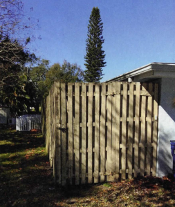 Keeping Bees in Tight Spaces