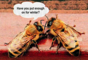 Winter Bees: Staying Youthful with Fat Bodies