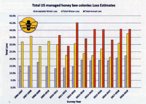 Honey Bee Colony Losses 2018-2019 Preliminary Results