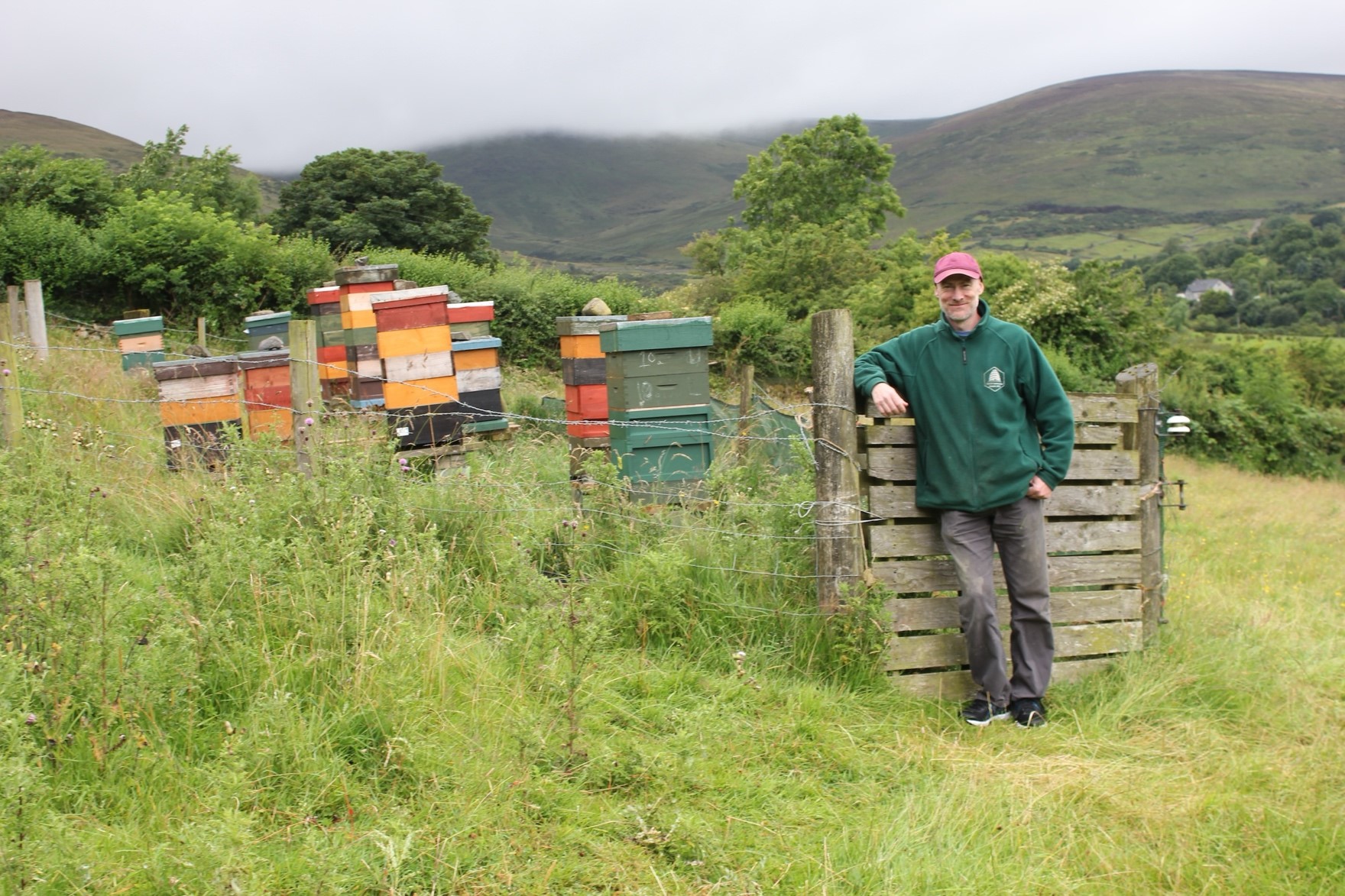 This is Eoghan Mac Giolla Coda standing by part of his apiary in a lovely spot in County Louth.