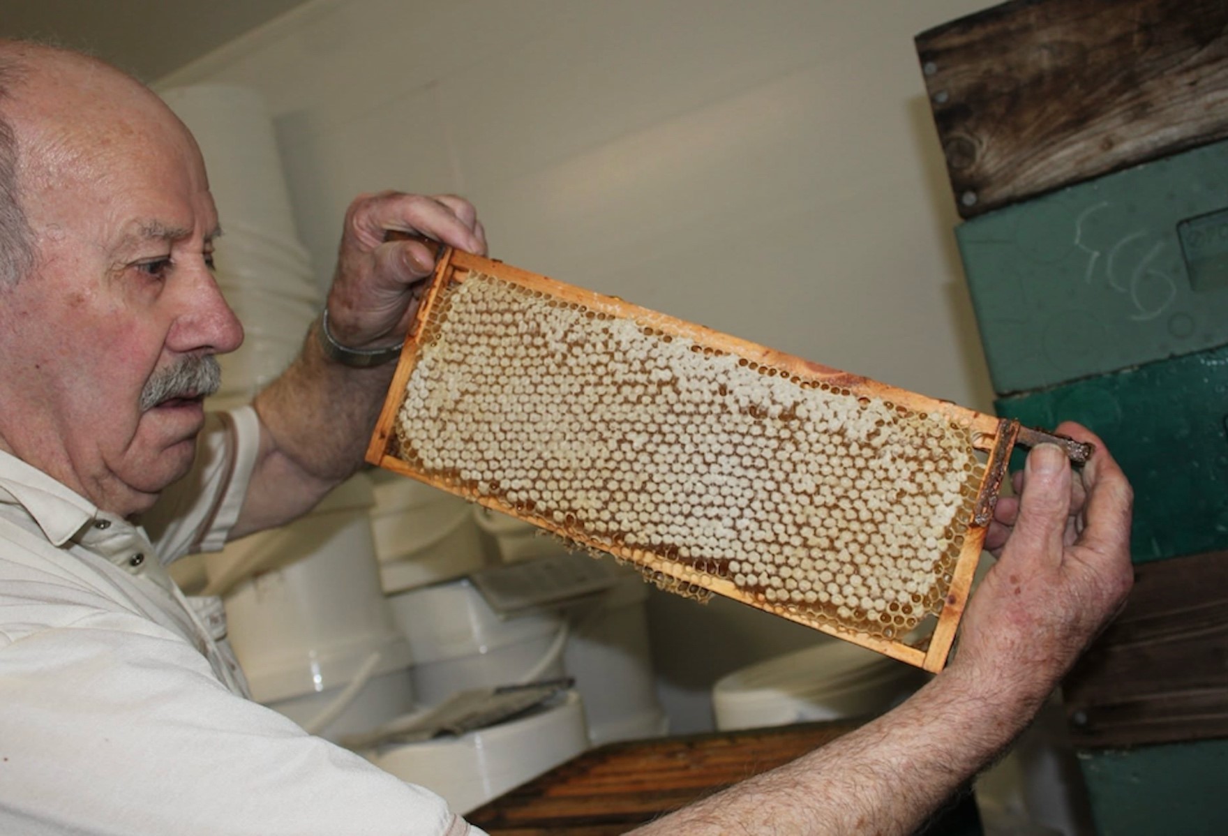 When my friends and I visited the Galtee Honey Farm, Micheál Mac Giolla Coda showed us his beautiful frames of honey and how he extracts it.