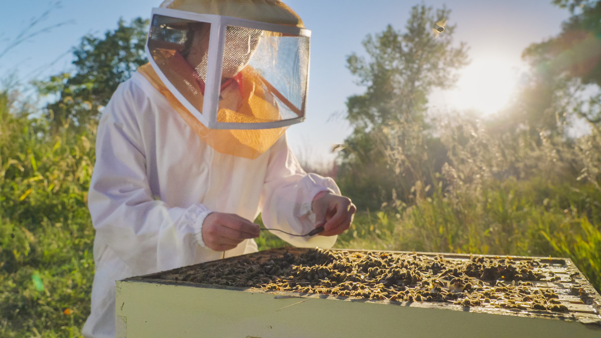 Listen to more of this story on BeekeepingTodayPodcast.com sponsored by Bee Culture Magazine.