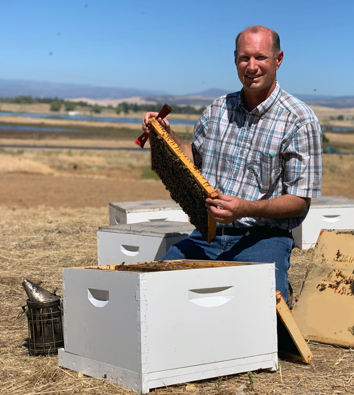 Buzz checking new breeder colonies.