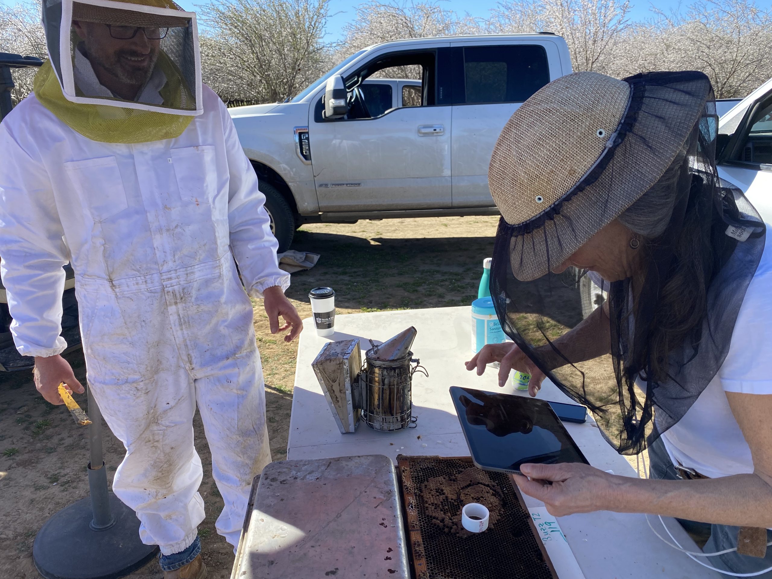 Dr. Marla Spivak, with Buzz, taking a photo of the UBO test area 
on Buzz’s breeder colonies.