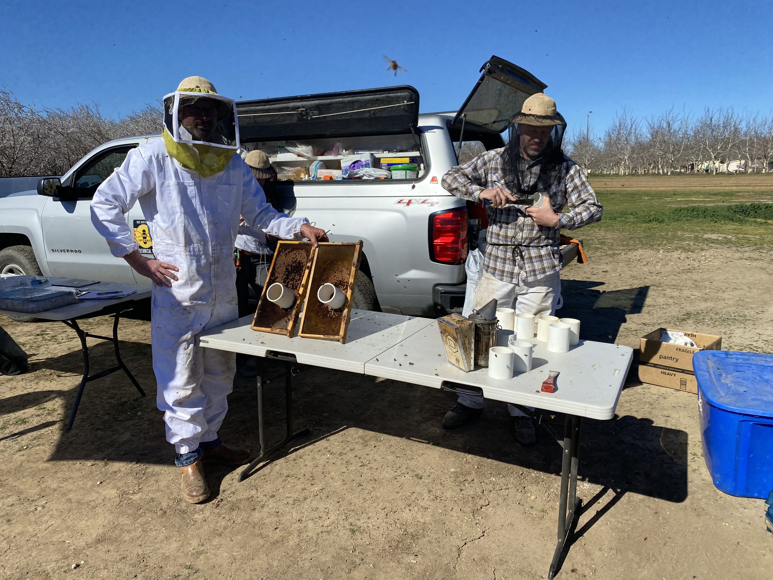 Buzz with Dan Wyns from BIP performing the Freeze Kill Brood 
assay on breeder colonies.