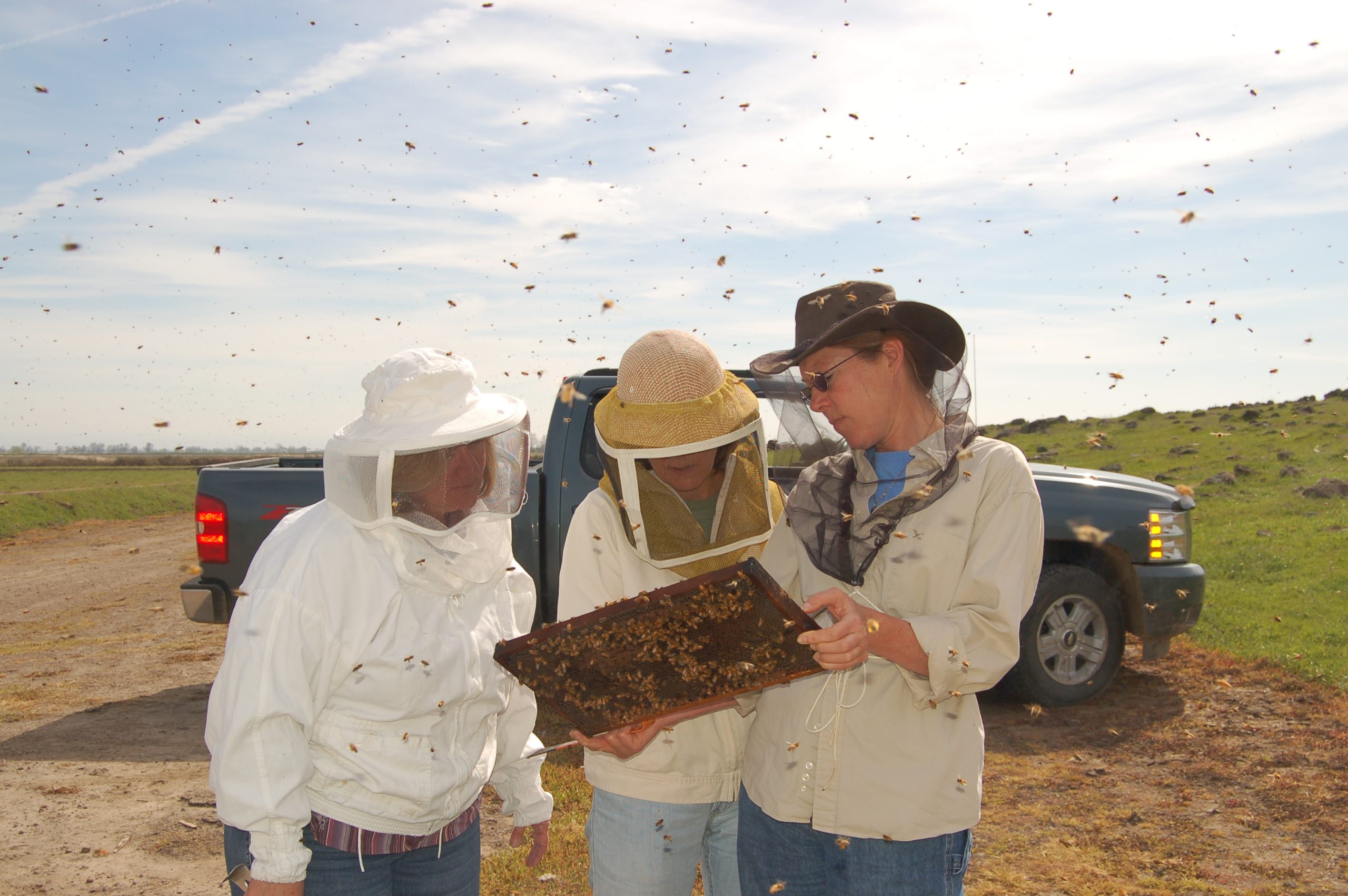 Valeri Severson, Marla Spivak & Sue Cobey (Left to Right) Inspecting colonies at Strachan Apiaries.