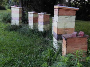 A Beekeeper’s Wish List