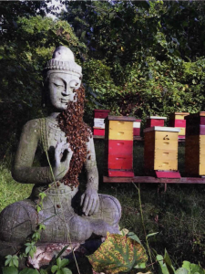 Beekeeping Buddhism