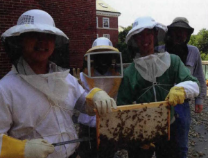 Students Learn Urban Waggle Dance