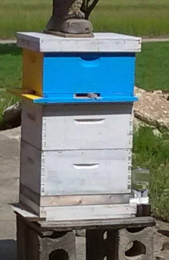 A ten frame painted deep split into three, three frame nucs with separate entrances on three sides above a snelgrove board also split into three sections with entrances not on the same front entrance side of the main hive below.