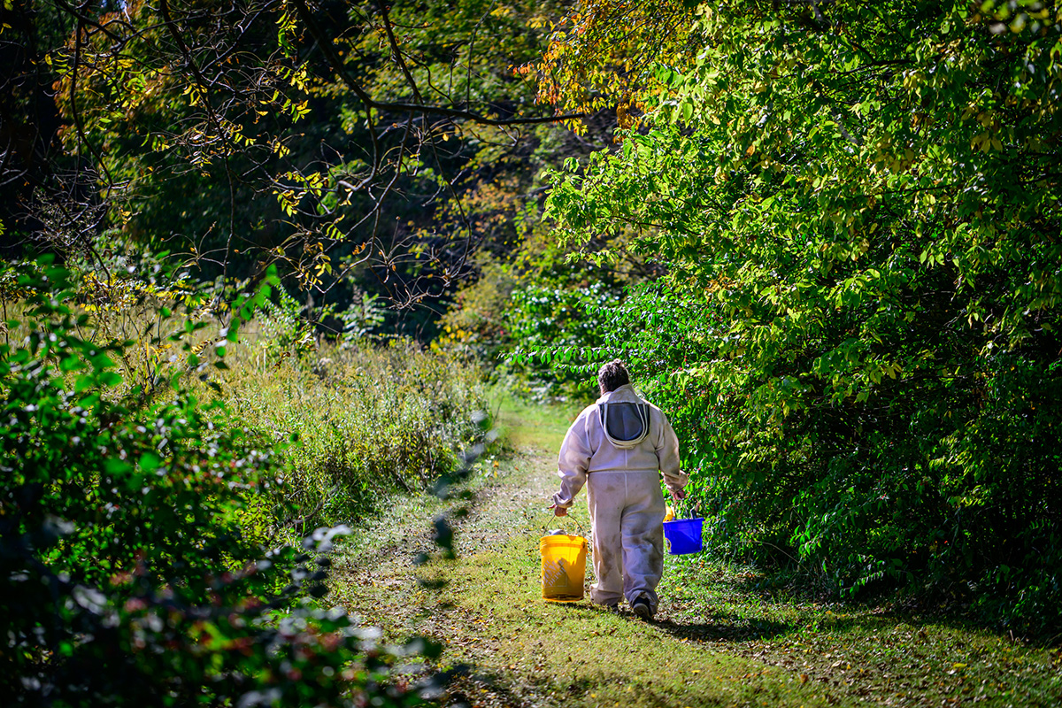 Deem checks other hives on the Pollinatarium property to find a frame filled with honey to help support the indoor observation hive. Photo by Fred Zwicky