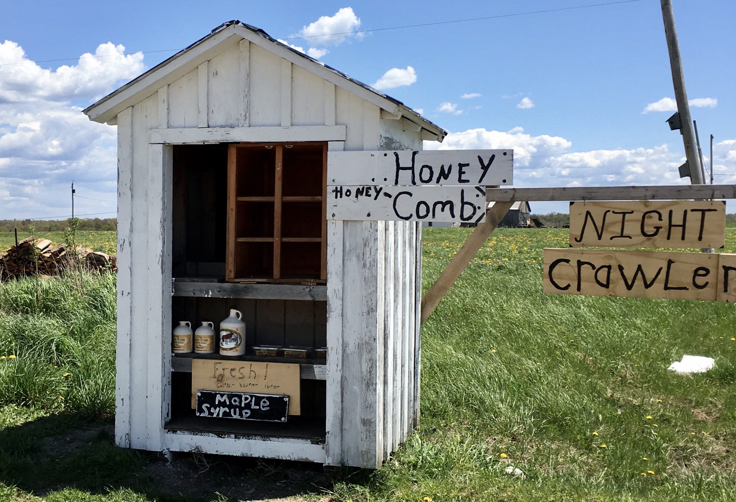 Stop 5 A typical road stand with an interesting selection: night crawlers and comb honey