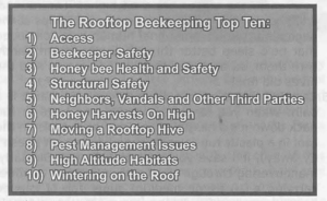 City Bees: Keeping Bees Up on the Roof