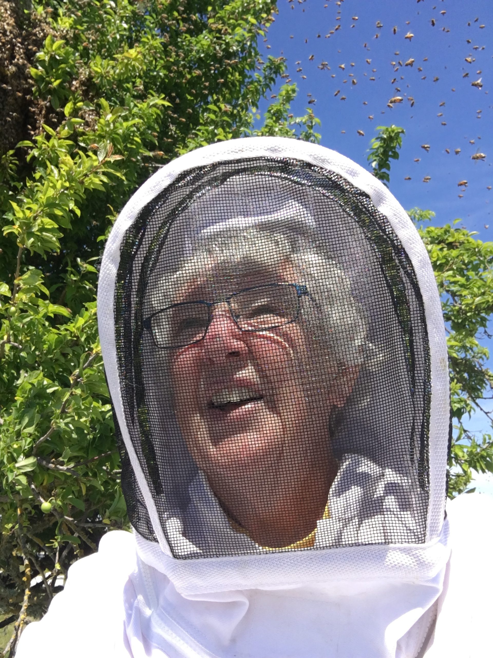 Darlene 
McGinnis 
took this photo of me that 
day we were 
chasing multiple swarms!