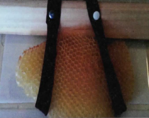 Summering Your Top Bar Hive