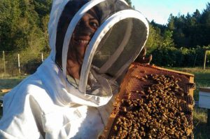 New WSU bee expert to advance science, teach next generation about pollinators