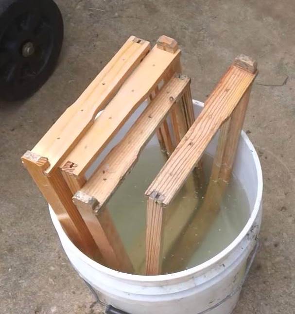 Soaking empty frames in bleach water