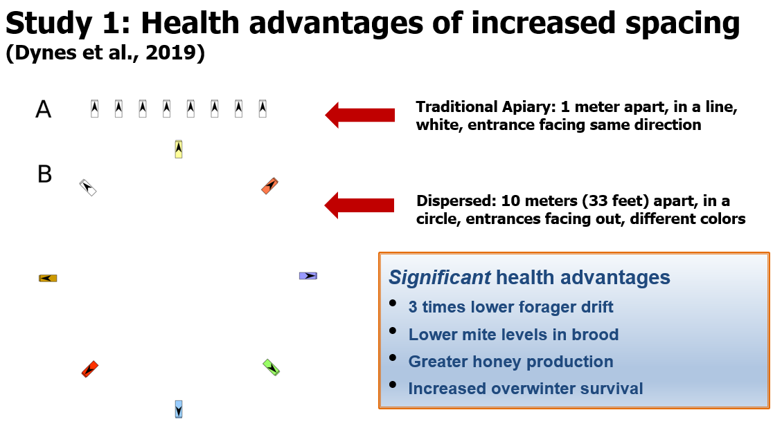 Figure 3. Dynes et al. (2019) conducted a study comparing a traditional apiary and one with hives painted different colors, placed in a circle, with entrances facing outwards. The study found significant health benefits in the visually complex apiary design.