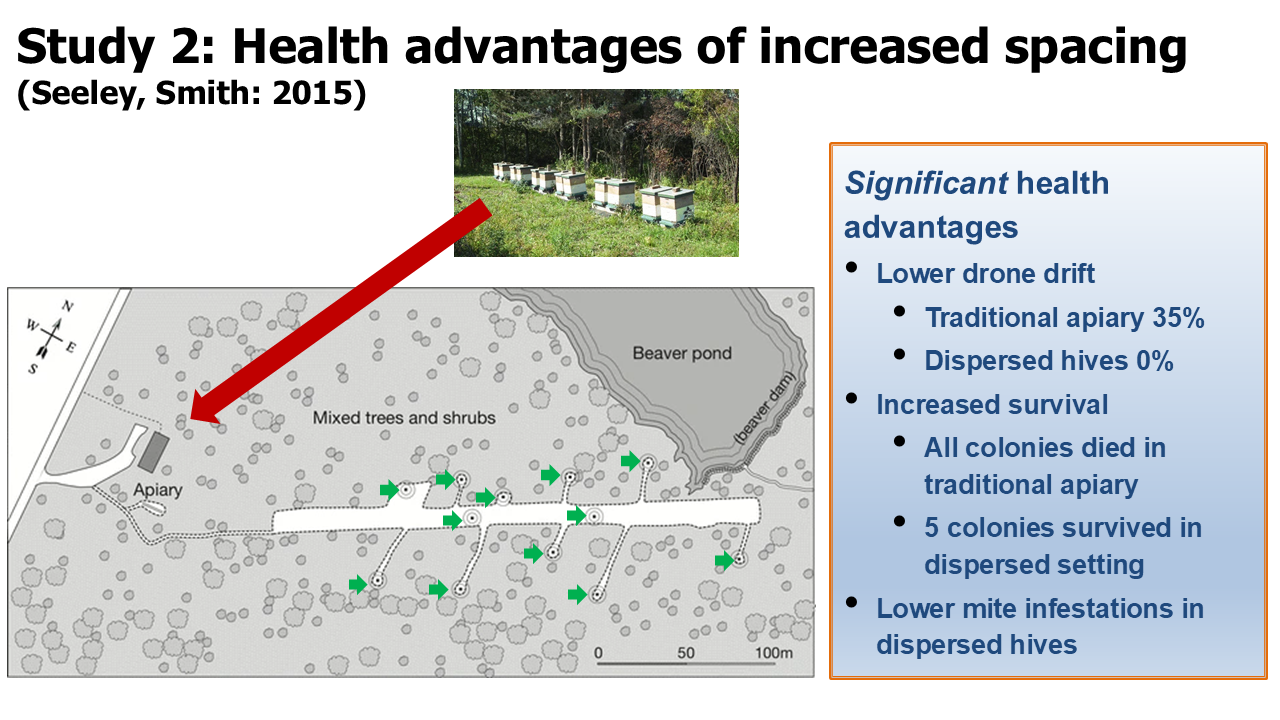 Figure 4: Seeley and Smith (2015) conducted a study comparing a traditional apiary and one with dispersed colonies and found lower Varroa infestations and higher survival in the dispersed colonies.