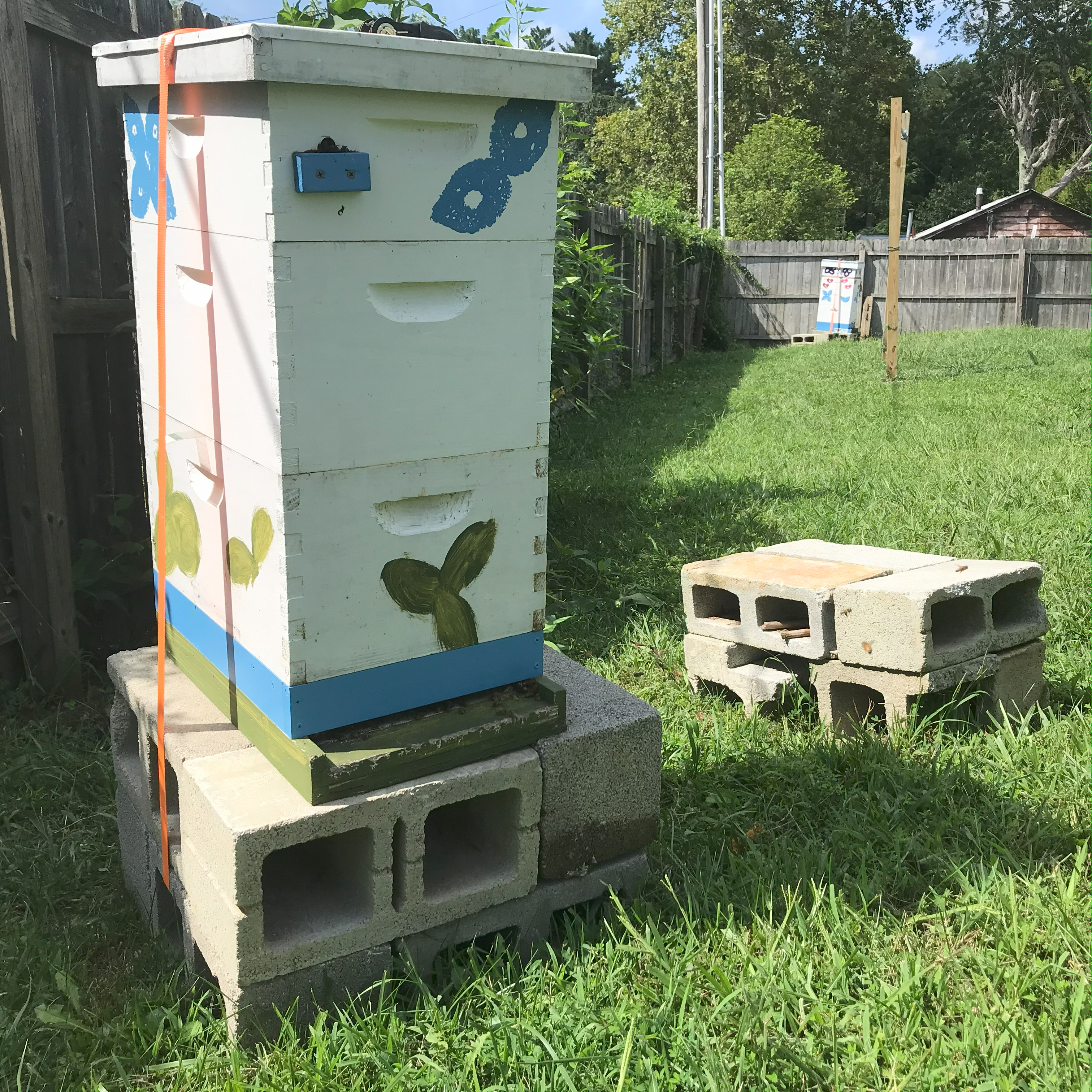 Figure 5: Placing colonies on the corners of a suburban yard has been shown to reduce drift and increase health, survival and productivity. The additional set of cinder blocks next to each hive provides a seat for me to observe the entrances, and a table to use during inspections.