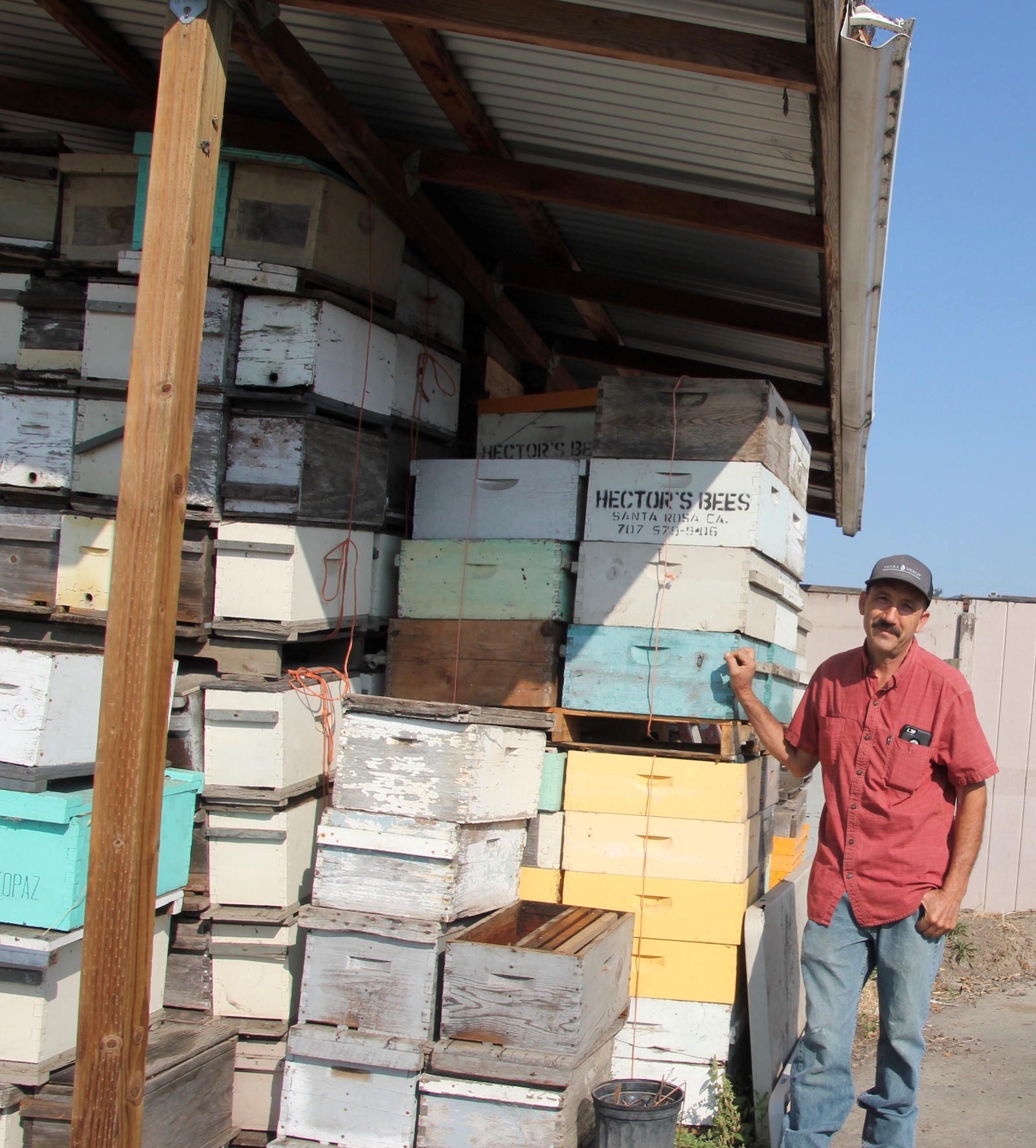 Hector Alvarez with just some of his many bee boxes. Photo by Ettamarie Peterson