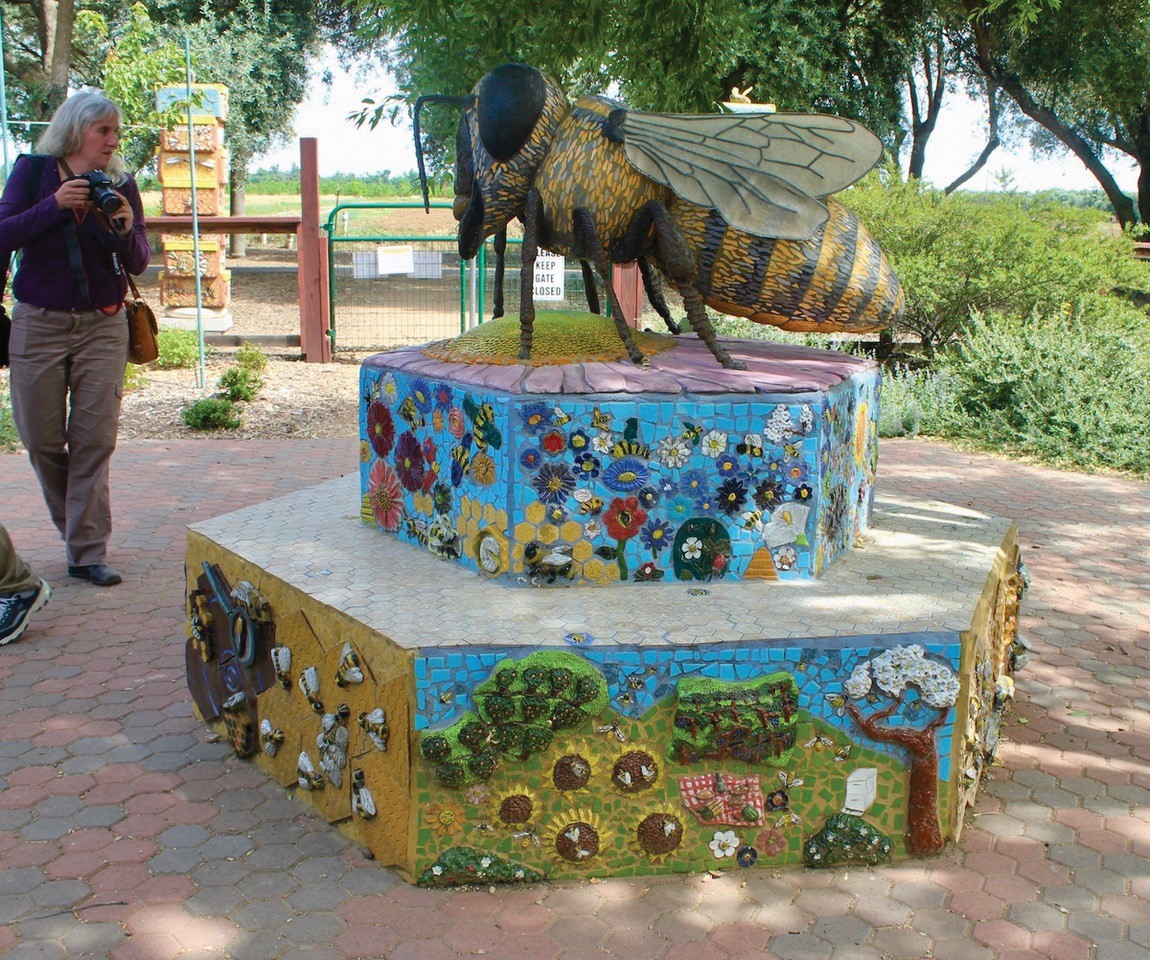 Center of the Haagen-Dazs Bee Haven at  University of California 
Davis with true to life bee art. The lady in the photo is Christine Kurtz, member and past president of Sonoma 
County Beekeepers Association. Photo taken by Ettamarie Peterson