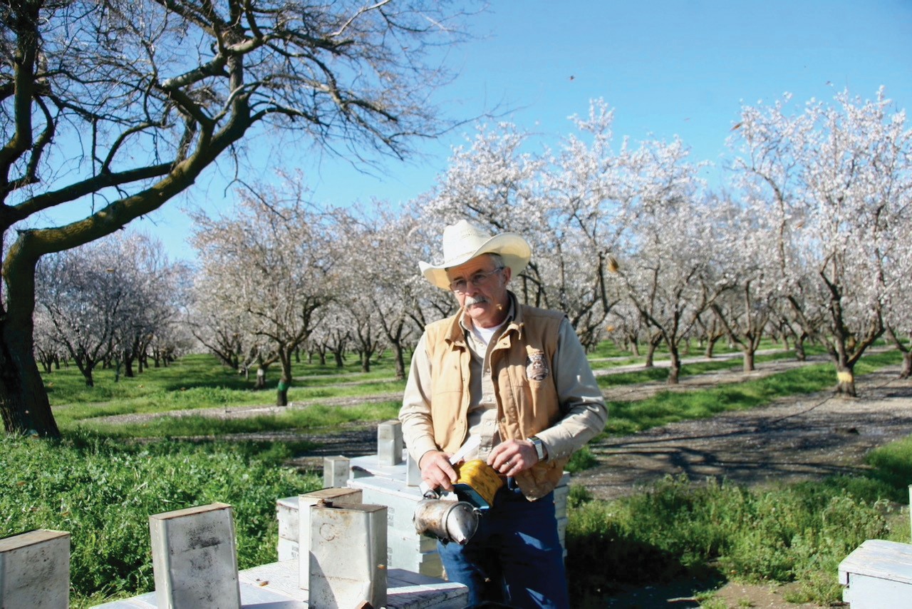 The beekeeper is Mr. Wooten, a Northern
California beekeeper and bee breeder, with some of his hives in the almond orchards in the central valley of California. Photo taken by Ettamarie 
Peterson in 
February  2010.