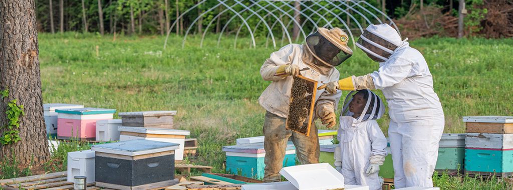 Bee-ginner’s Beekeeping: The Basics of Apiculture