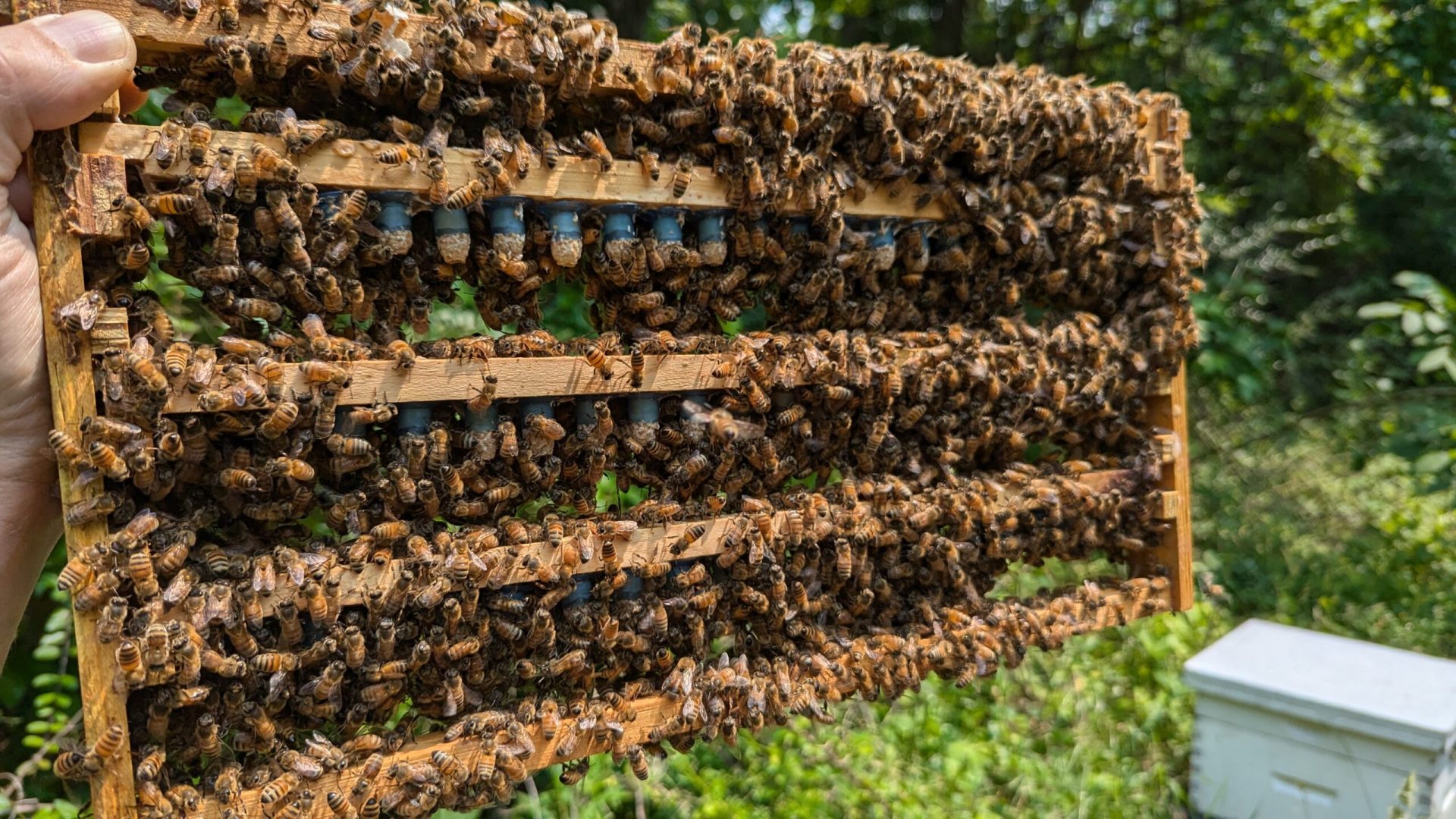 Found in Translation