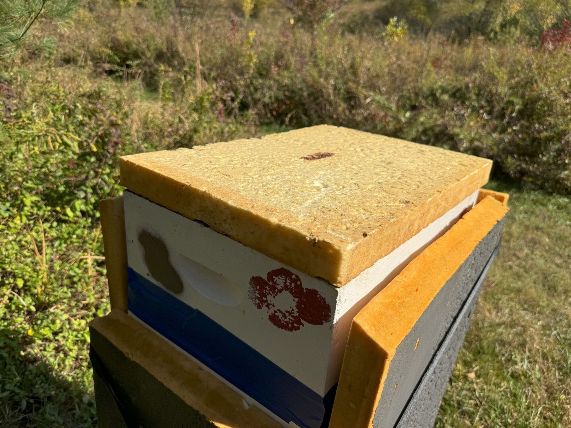 Insulated hive